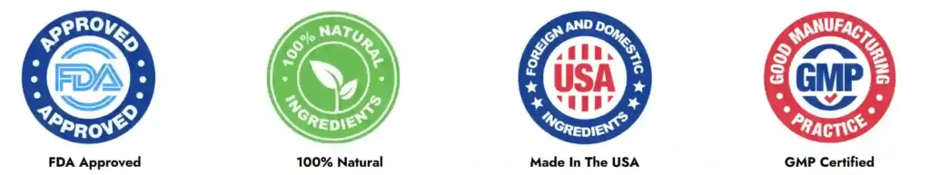 MindVault Certification